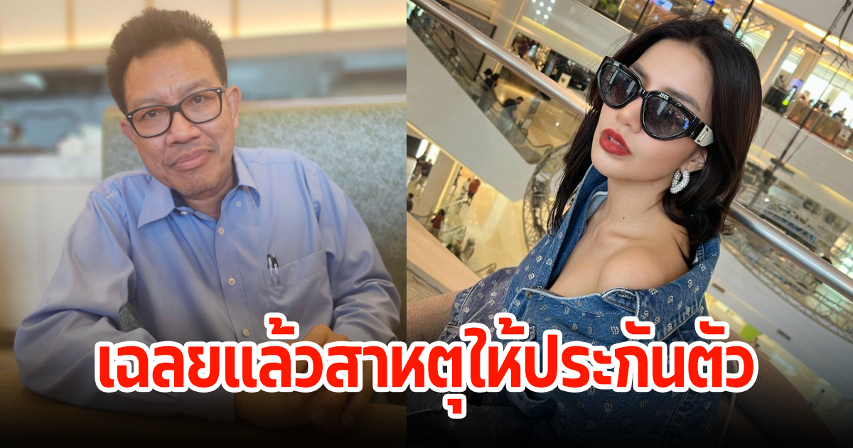 ทนายเดชา พูดแล้วสาหตุที่ศาลให้ยื่นประกันตัว ใบเตย สุธีวัน