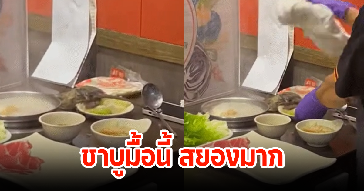 มื้อสยอง! สาวกรี๊ดสนั่นร้าน หนูร่วงจากเพดานลงหม้อชาบู เห็นพนักงานทำยิ่งตกใจหนัก (ต่างประเทศ)