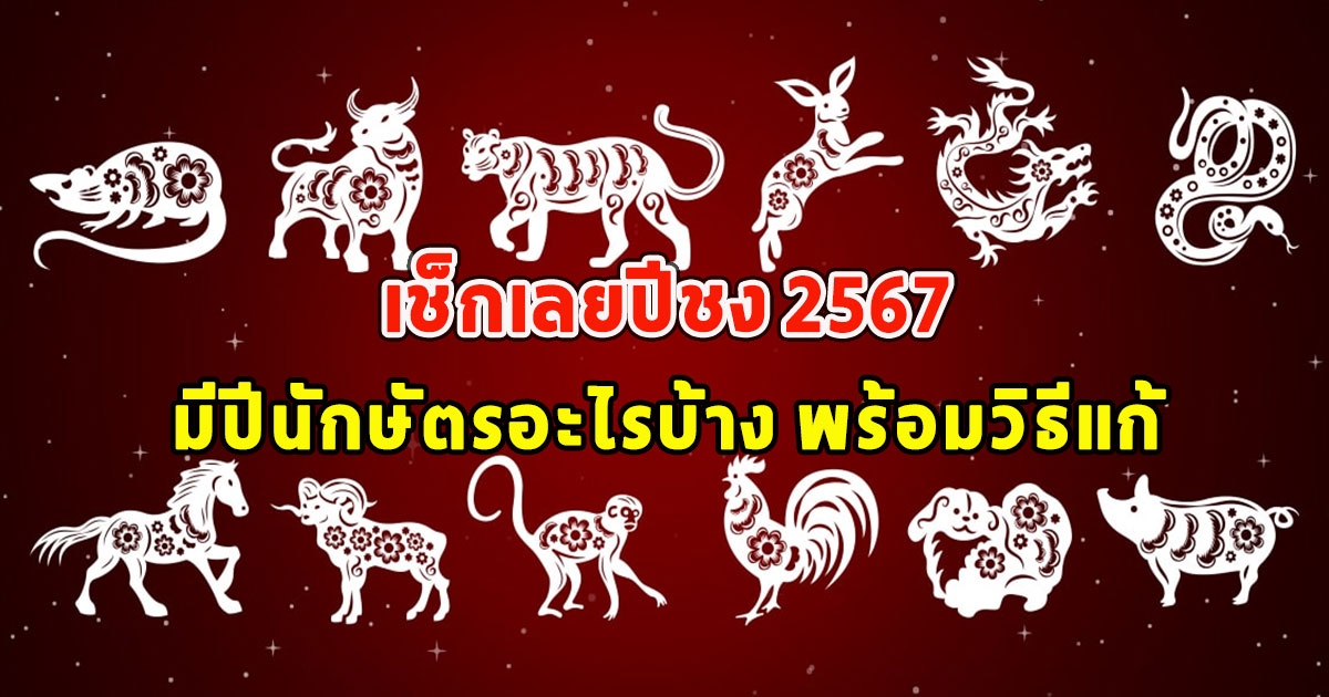 เช็กเลยปีชง 2567 มีปีนักษัตรอะไรบ้าง พร้อมวิธีแก้