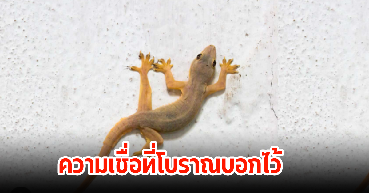 เคล็ดต้องห้าม! 7 ความเชื่อ ทีโบราณบอกให้ระวัง และอย่าทำเป็นอันขาด