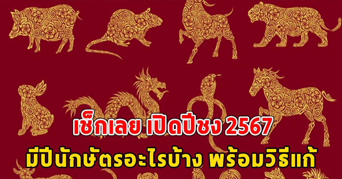 เช็กเลย เปิดปีชง 2567 มีปีนักษัตรอะไรบ้าง พร้อมวิธีแก้