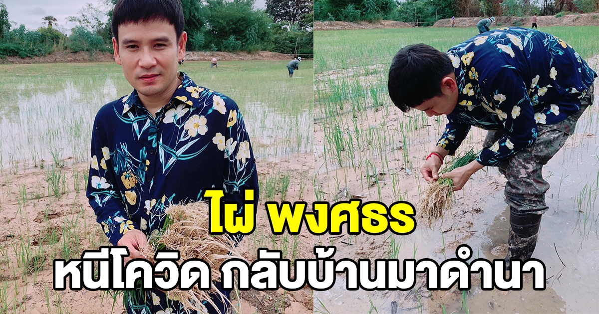 ไผ่ พงศธร ไม่ลืมบ้านเกิด