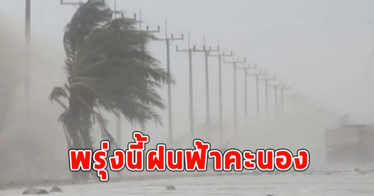 พรุ่งนี้ฝนฟ้าคะนอง เตือนจังหวัดรับมือ