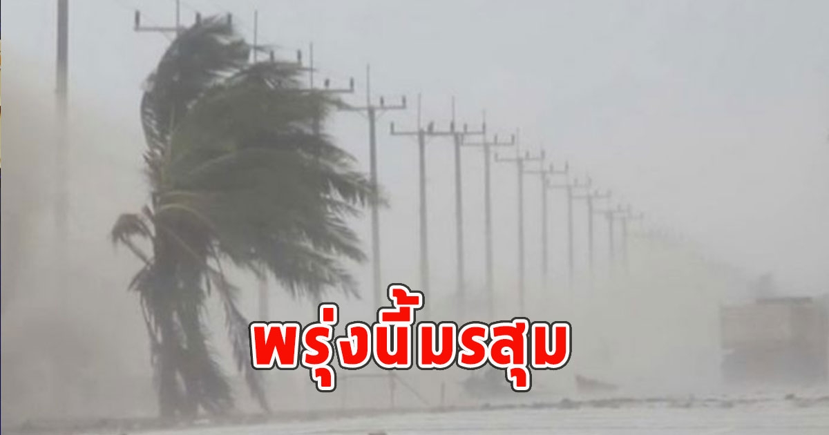 พรุ่งนี้มรสุม เตือนจังหวัดรับมือฝนฟ้าคะนอง