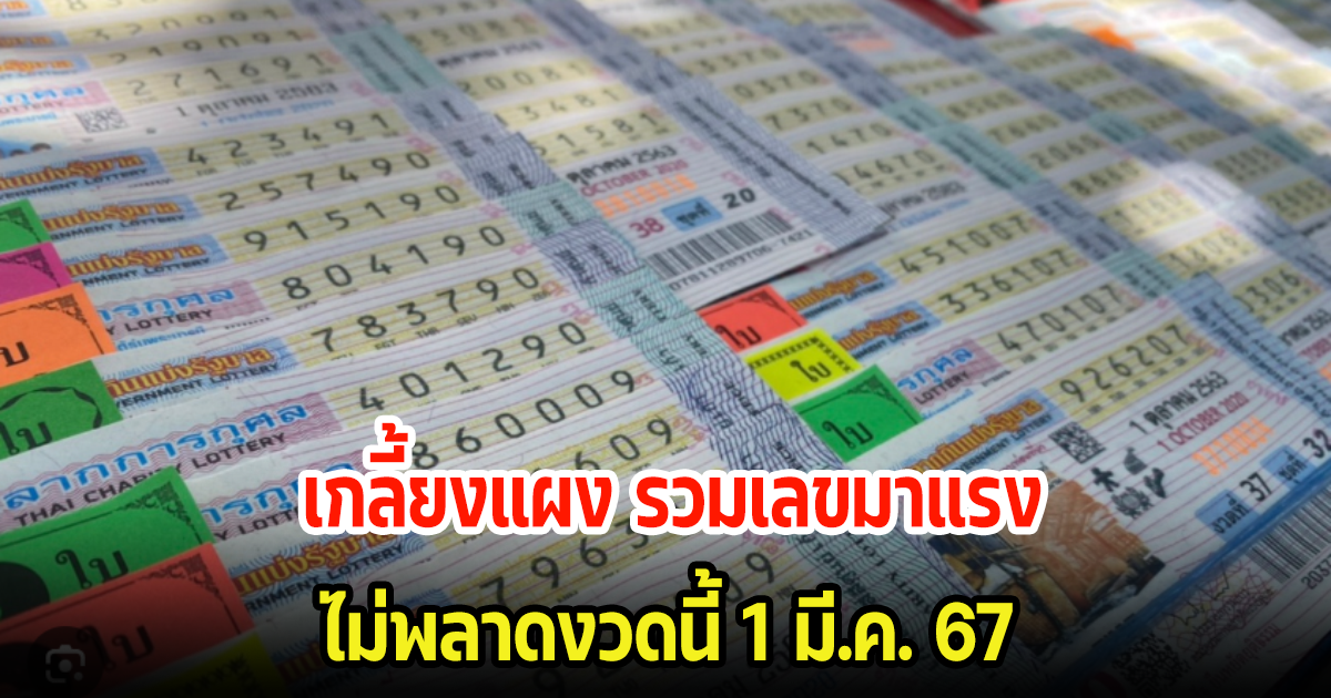 เกลี้ยงแผง รวมเลขมาแรง ใครยังไม่มี รีบดูเลย ไม่พลาดงวดนี้ 1 มี.ค. 67