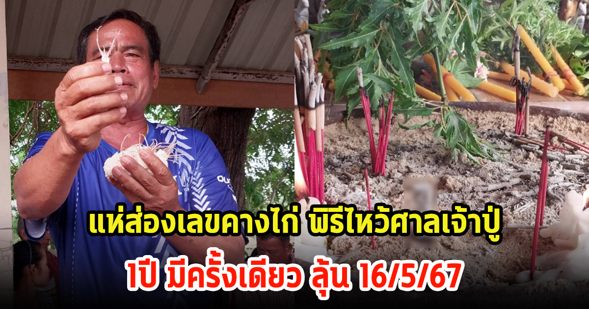 ชาวบ้านทำพิธีไหว้ศาลเจ้าปู่ 1ปีมีครั้งเดียว แห่ส่องเลขคางไก่ ใครตาดีได้ไปเต็มๆ