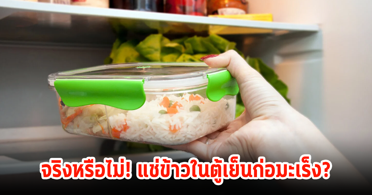 ผู้เชี่ยวชาญเฉลยแล้ว! แช่ข้าวในตู้เย็น ก่อให้เป็นมะเร็งจริงหรือไม่?