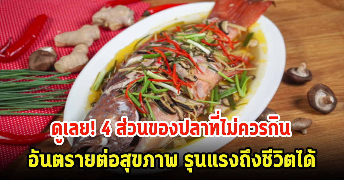 4 ส่วนของปลาที่ไม่ควรกิน หลีกเลี่ยงอันตรายต่อสุขภาพ รุนแรงถึงชีวิตได้