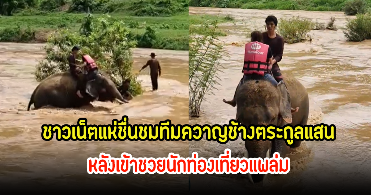 เปิดคลิปวินาที ทีมควาญช้างตระกูลแสน ลุยน้ำป่าช่วยเหลือนักท่องเที่ยว หลังแพล่มกลับเข้าฝั่ง