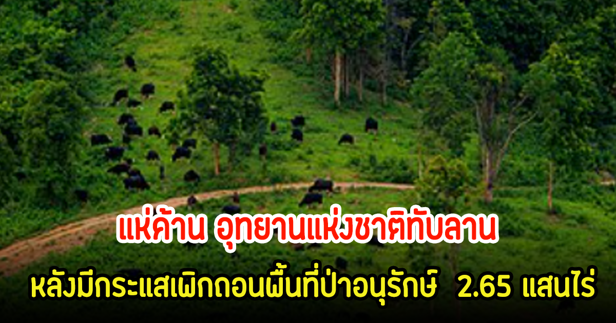 ชาวโซเชียลเดือด! แห่ค้าน อุทยานแห่งชาติทับลาน หลังมีกระแสเพิกถอนพื้นที่ป่าอนุรักษ์  2.65 แสนไร่