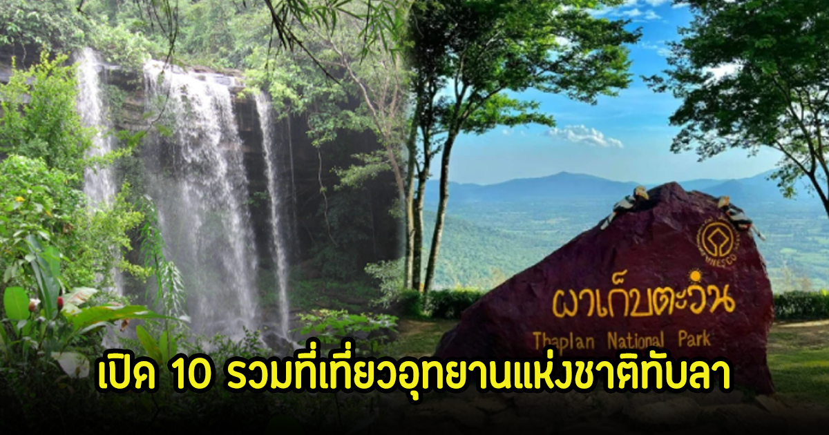 เปิด 10 สถานที่ท่องเที่ยว อุทยานฯทับลาน แหล่งมรดกโลกผืนป่าอีสานที่ใหญ่ที่สุด