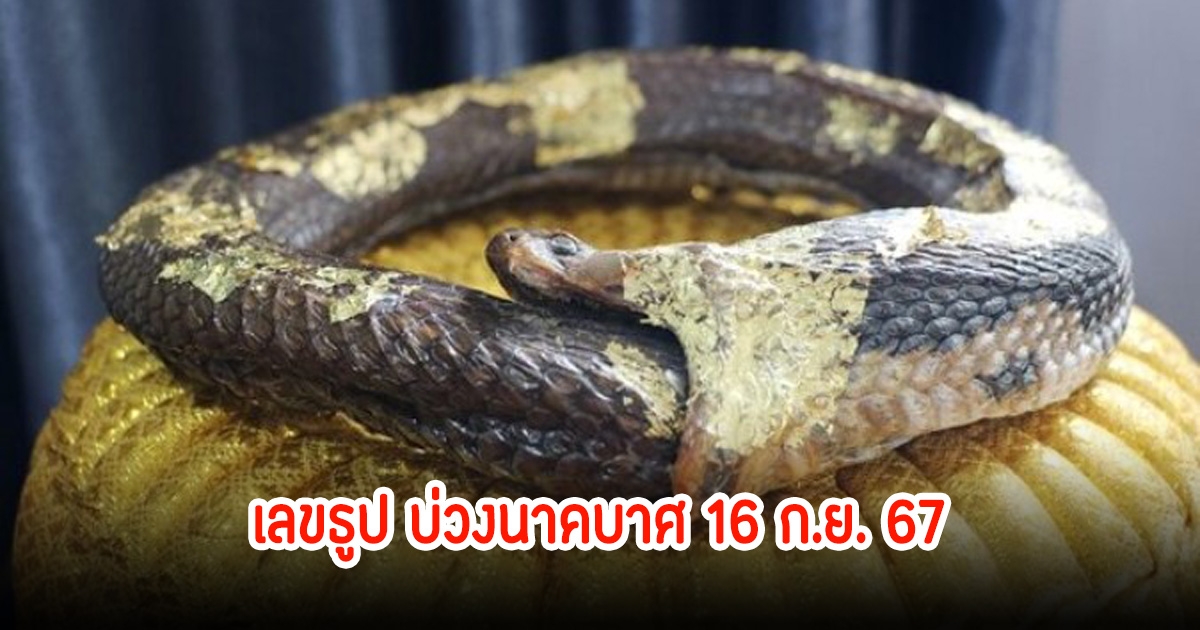 เลขธูป แก้บนบ่วงนาคบาศ 16 ก.ย. 67