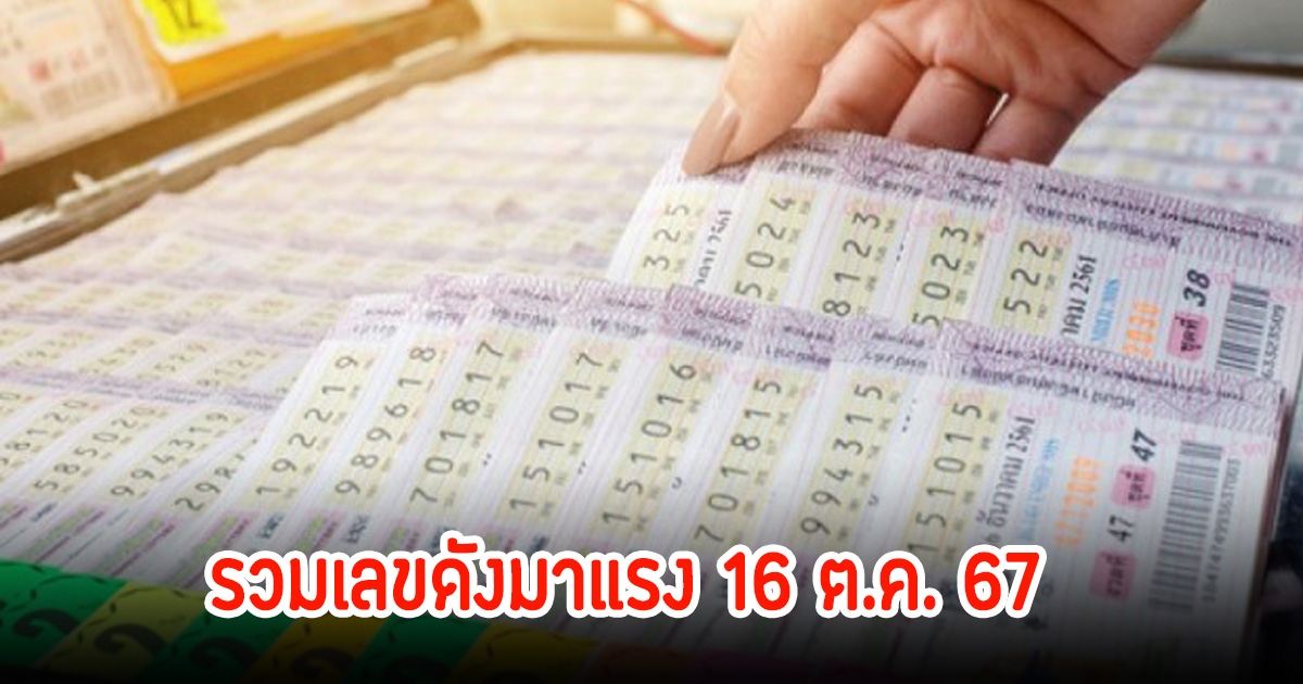 รวมเลขดังมาแรง 16 ต.ค. 67