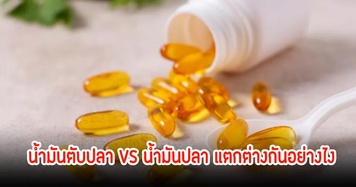 น้ำมันตับปลา VS น้ำมันปลา แตกต่างกันอย่างไง และมีข้อควรระวังอะไร