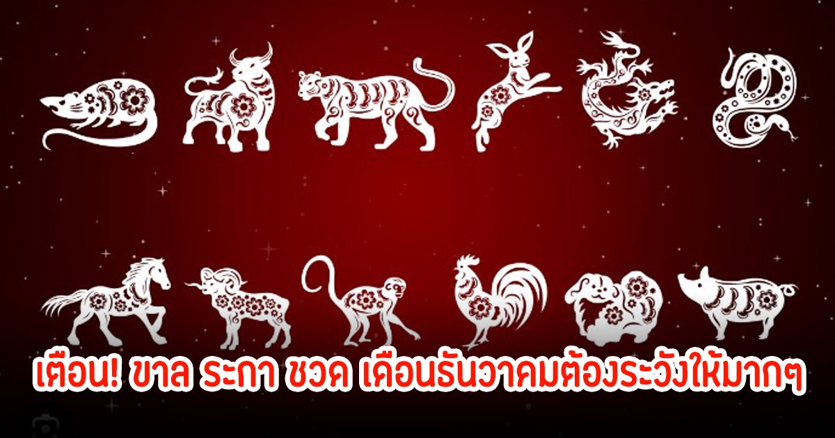 4 นักษัตร ต้องเตือน! ขาล ระกา ชวด เดือนธันวาคมต้องระวังให้มากๆ