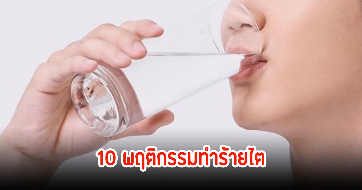 แพทย์เตือน 10 พฤติกรรมทำร้ายไต คนไทยทำตรงทุกข้อ