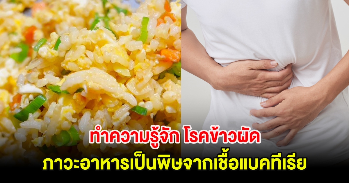 ทำความรู้จัก โรคข้าวผัด ภาวะอาหารเป็นพิษจากเชื้อแบคทีเรีย