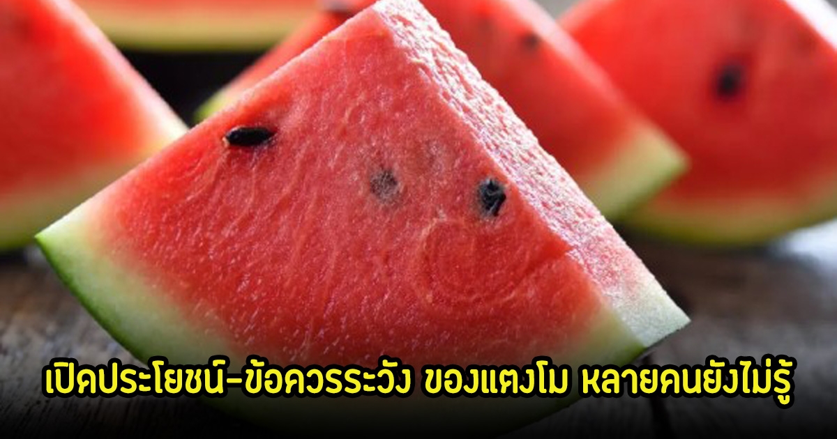 เปิดประโยชน์-ข้อควรระวัง ของแตงโม หลายคนยังไม่รู้