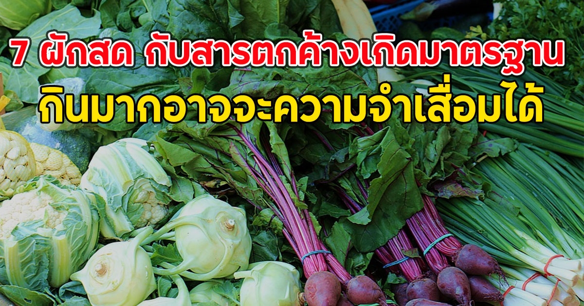 เปิด 7 ผักสด กับสารตกค้างเกิดมาตรฐาน กินมากอาจจะความจำเสื่อมได้