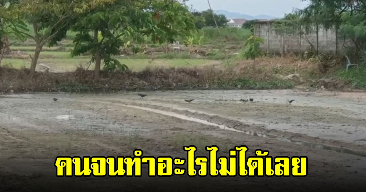 ชาวนา ถูกหอพักแจ้งจับ หลังจุดประทัดไล่นก