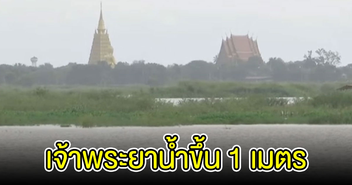 แม่น้ำเจ้าพระยาสูงขึ้นอีก 1 เมตร ชาวบ้านเร่งยกพื้นเข้าบ้าน-ยกของขึ้น