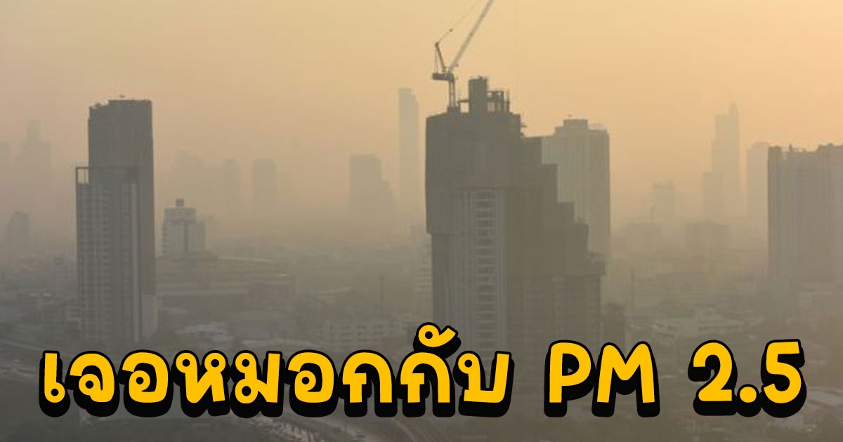 กรมอุตุฯ เผย 1-2 วันนี้ กทม. จะมีหมอกกับฝุ่น PM 2.5 มากขึ้นในช่วงเช้า