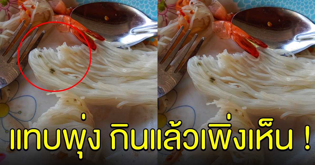 สาวตกใจหนัก หลังสั่งขนมจีนมากินกับส้มตำ เตือนระวังให้ดี