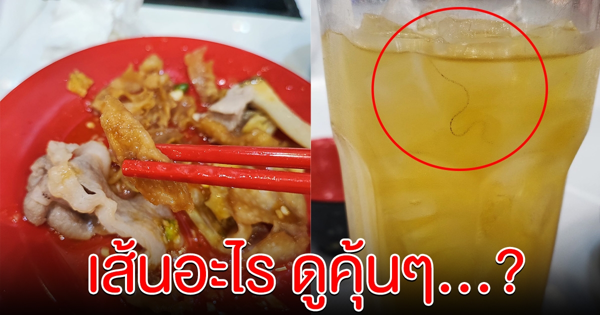 สาวสุดจึ้ง กินสุกี้ร้านดัง เจอเส้นขนหน้าตาคุ้นๆ อยู่ในแก้วน้ำ