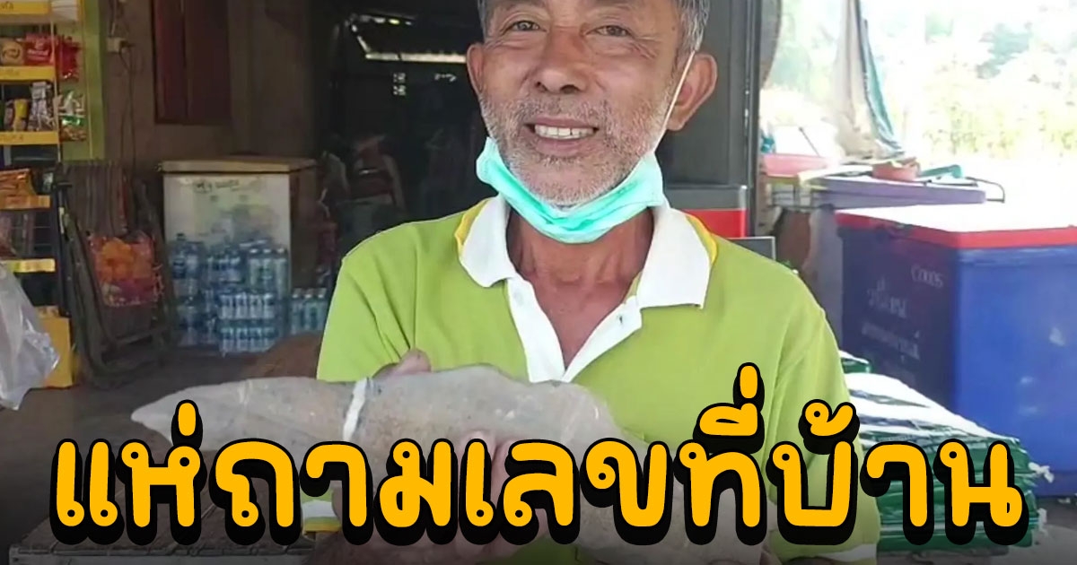 ผู้ใหญ่บ้านเจอหินประหลาดคล้ายหัวตะพาบน้ำ คนแห่ถามเลขที่บ้าน