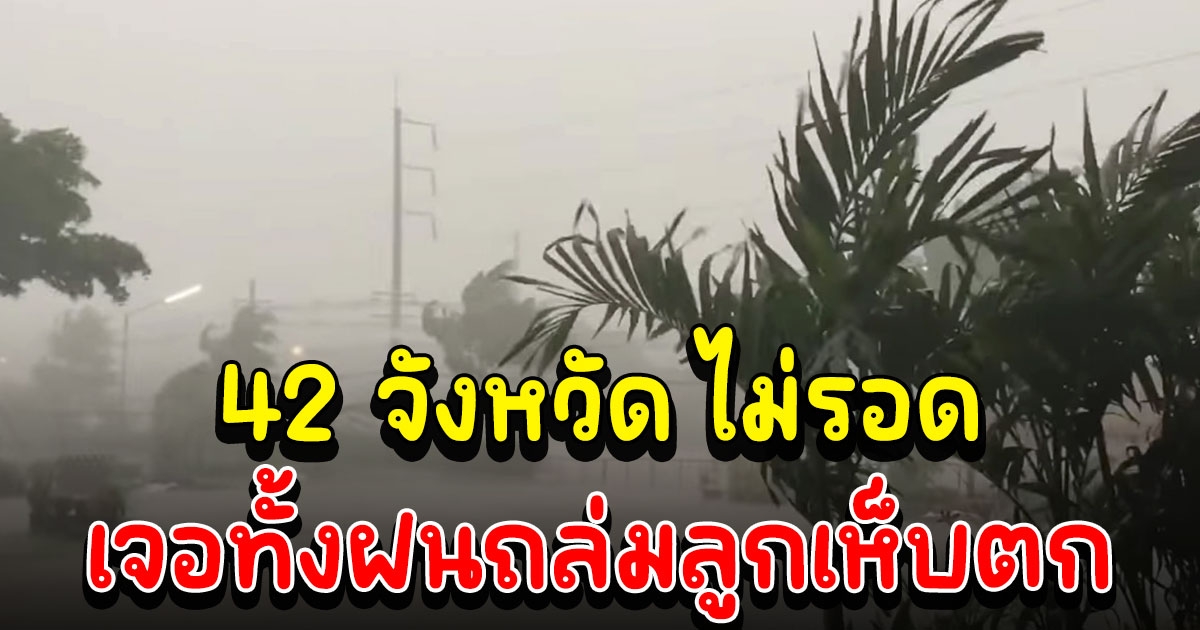 42 จังหวัด ไม่รอด อุตุฯ ประกาศเตือน พายุฤดูร้อน เจอทั้งฝนถล่มลูกเห็บตก 12-14 มี.ค. นี้