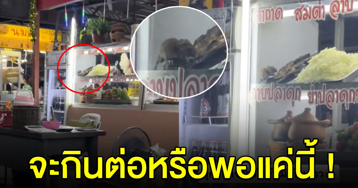 สาวสั่งข้าวกินที่ร้าน ก่อนเอะใจสังเกตเห็นที่ตู้ จะลุกออกจากร้านก็ไม่ทันแล้ว