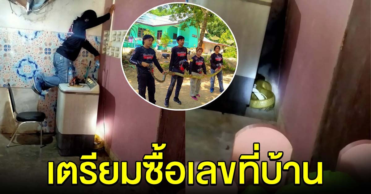 เจ้าของบ้านเตรียมซื้อเลขที่บ้าน หลังเจองูจงอางสีทอง เชื่อมาให้โชค