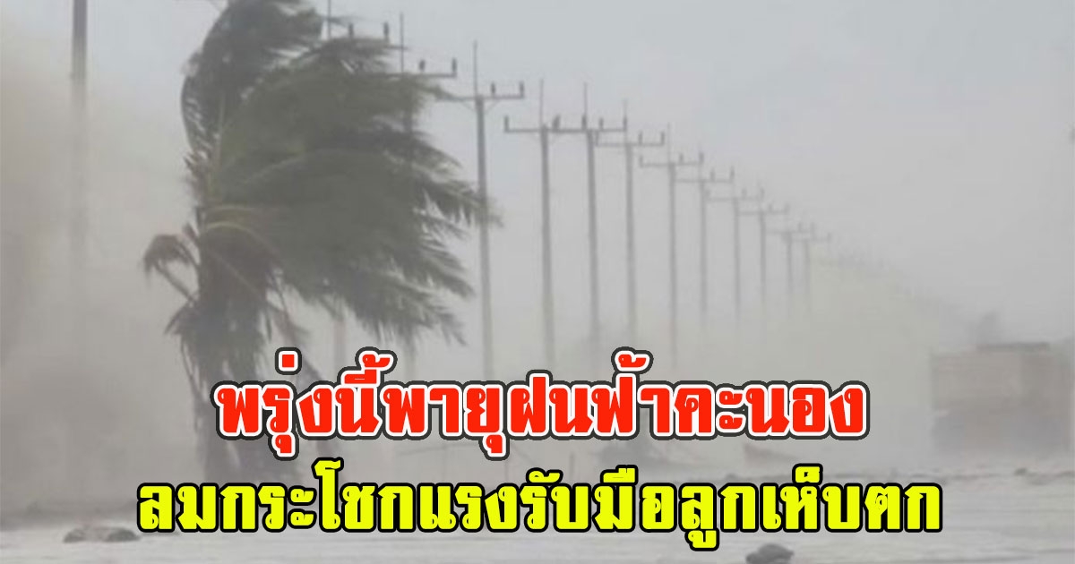 พรุ่งนี้พายุฝนฟ้าคะนอง ลมกระโชกแรงรับมือลูกเห็บตก