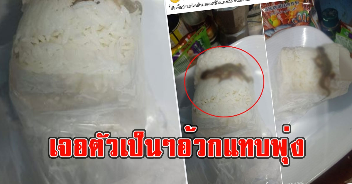 หนุ่มแวะซื้อข้าวถุง เทกินที่บ้าน ก่อนเจอตัวเป็นๆ