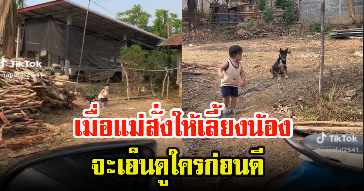 สาวโพสต์คลิปสุดน่ารัก น้องหมาแสนรู้ ปกป้องเจ้านายน้อย ลั่นเลี้ยงไม่เสียข้าวสุก