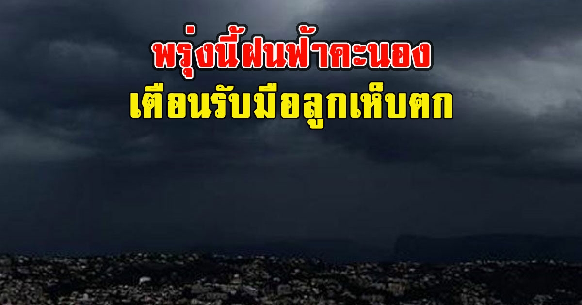 พรุ่งนี้ฝนฟ้าคะนอง เตือนรับมือลมกระโชกแรง และลูกเห็บตก