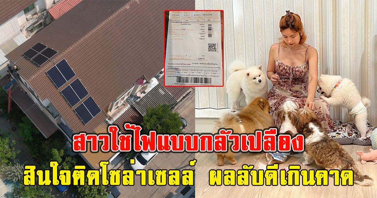 สาวใช้ไฟแบบกลัวเปลือง เลยตัดสินใจติดโซล่าเซลล์ ผลลับดีเกินคาด