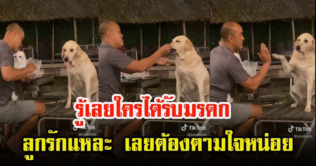 เมื่อคุณพ่อพาลูกสุดที่รัก ออกมากินข้าวข้างนอก แต่กลับไม่ยอมกินเอง เลยต้องป้อน