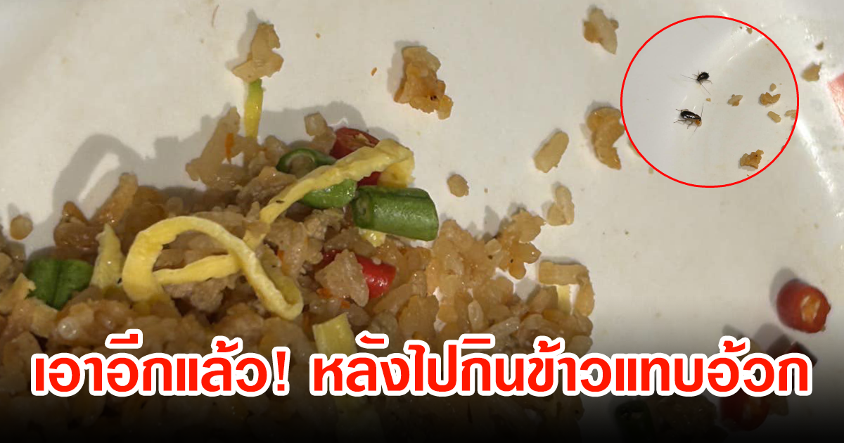 หนุ่มโพสต์ ไปกินข้าวที่ห้างดัง เจอเป็นฝูงเต็มจาน รีบแจ้งห้างทันที คำตอบที่ได้พีคไปอีก