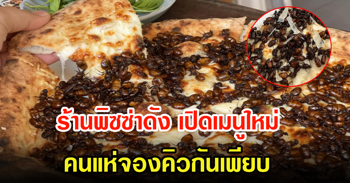 ร้านพิซซ่าดัง เผยโฉมเมนูใหม่  ชาวเน็ตเห็นพากันแห่จองเพียบ