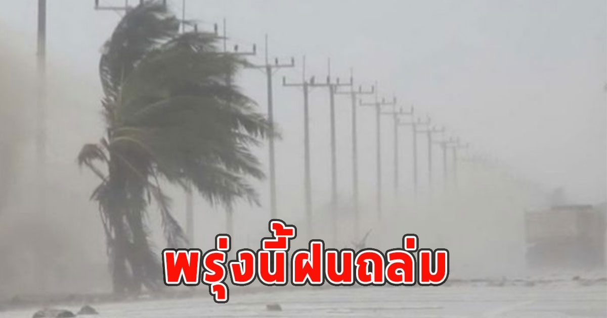 พรุ่งนี้ฝนถล่ม เตือนจังหวัดรับมือ