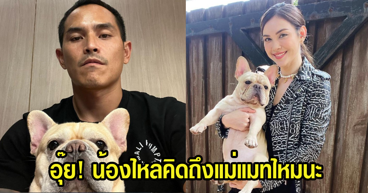 ยังไง สงกรานต์ โพสต์ภาพน้องหมาสุดเลิฟ ชาวเน็ตแห่คอมเมนต์แซวว่าคิดถึงมามี๊ไหมเพียบ