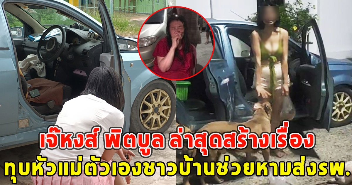 จำได้ไหม เจ๊หงส์ พิตบูล ล่าสุดสร้างเรื่อง ทุบหัวแม่ตัวเองชาวบ้านช่วยหามส่งรพ.