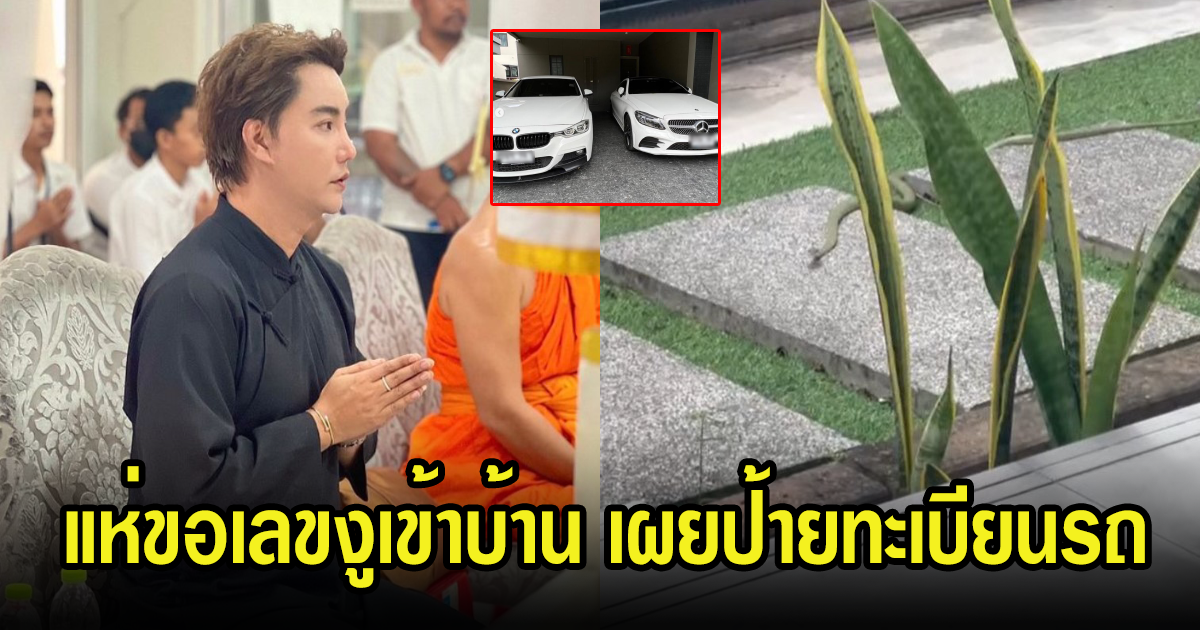 โซเชียลแห่ขอบ้านเลขที่ ริว จิตสัมผัส หลังโพสต์คลิปงูเข้าบ้าน พร้อมเผยป้ายทะเบียนรถ งวด 1 ก.ค. 66