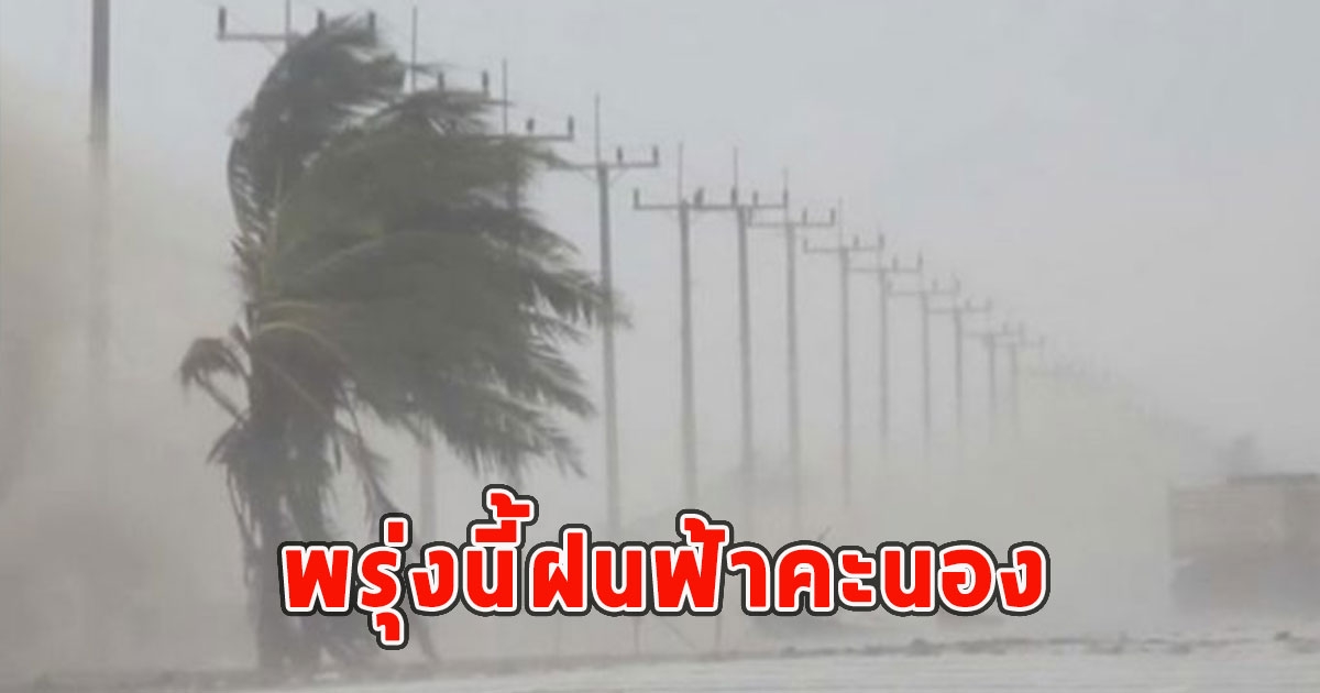 พรุ่งนี้ฝนฟ้าคะนอง เตือนจังหวัดรับมือ