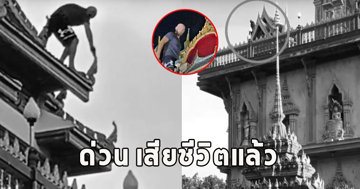 ด่วน เสียชีวิตแล้ว หนุ่มปีนพระมหาธาตุเจดีย์ วัดฉลอง