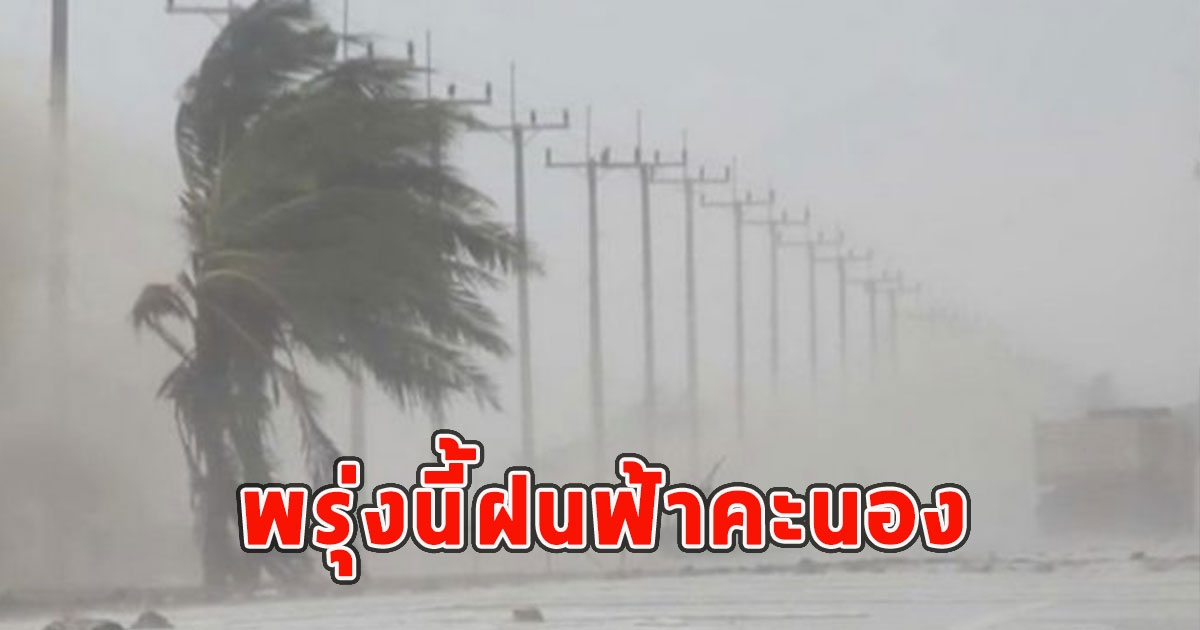 พรุ่งนี้ฝนฟ้าคะนอง เตือนจังหวัดรับมือ