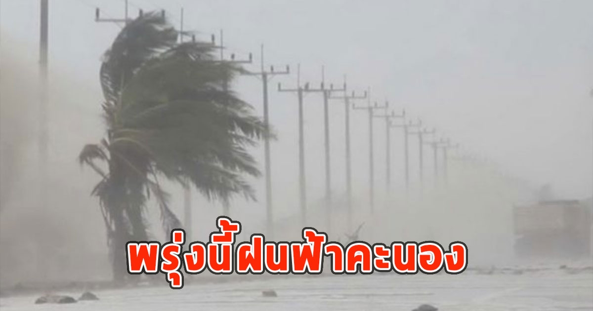 พรุ่งนี้ฝนฟ้าคะนอง เตือนจังหวัดรับมือ