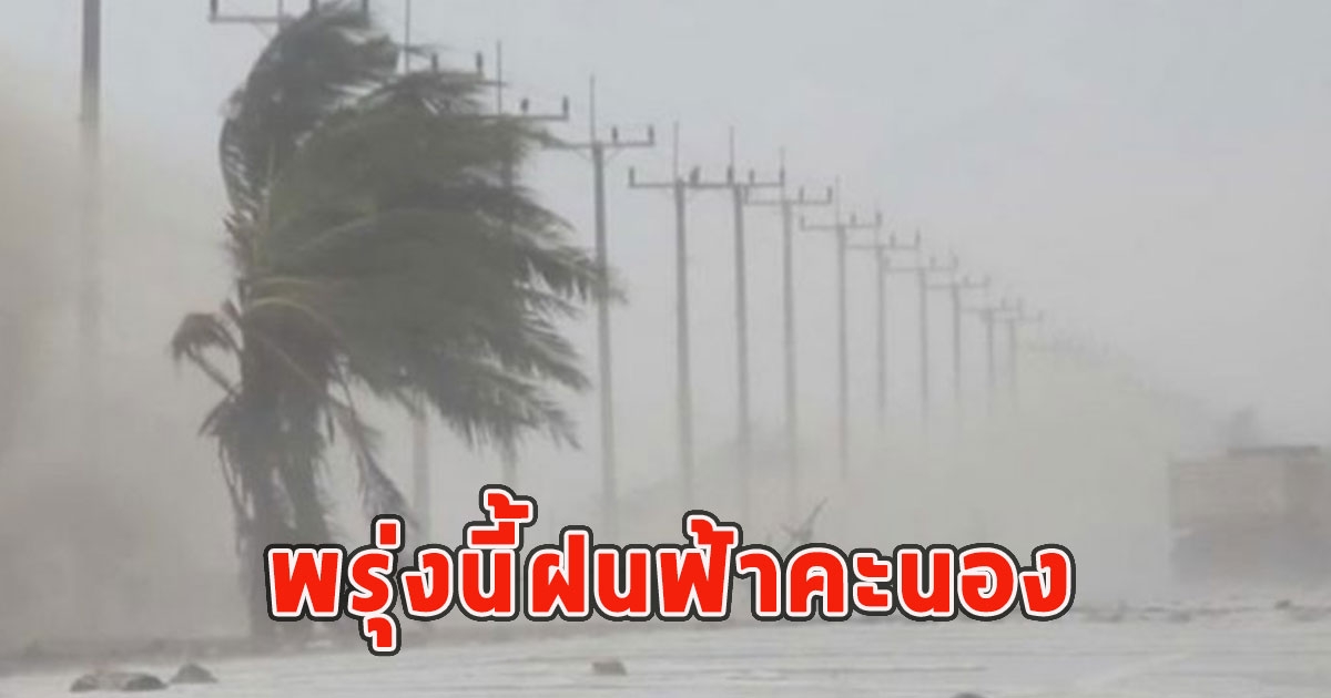 พรุ่งนี้ฝนฟ้าคะนอง เตือนจังหวัดรับมือ