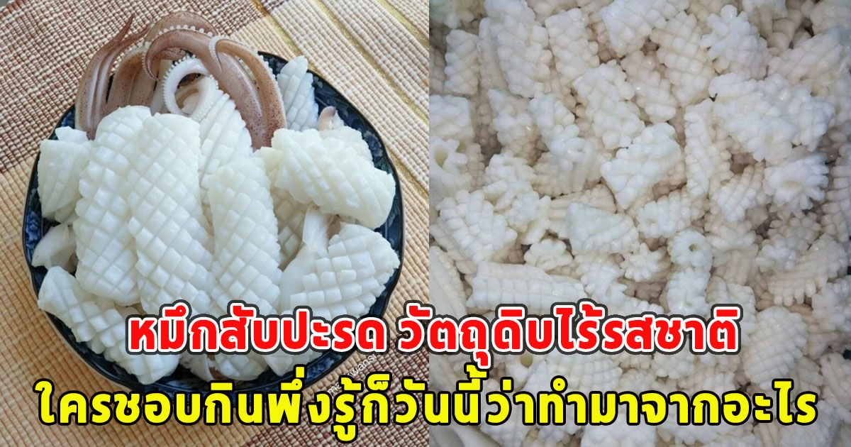 หมึกสับปะรด วัตถุดิบไร้รสชาติ ใครชอบกินพึ่งรู้ก็วันนี้ว่าทำมาจากอะไร